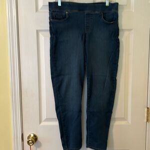 Gloria Vanderbilt Avery All Around Slimming Effect Jeans  Size 12P